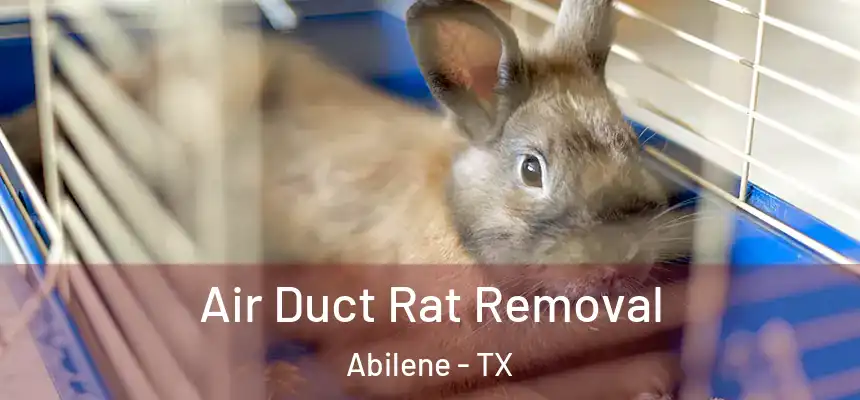  Air Duct Rat Removal Abilene - TX