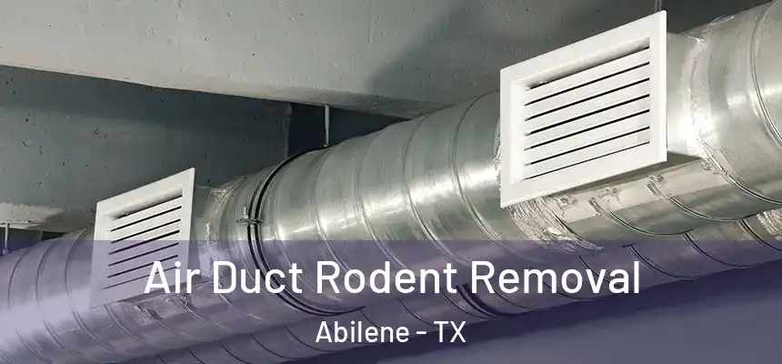 Air Duct Rodent Removal Abilene - TX