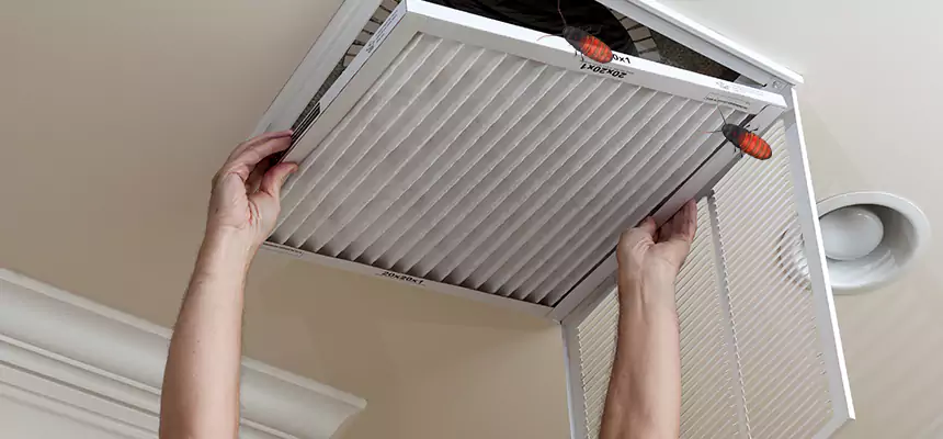 Preventive Cockroach-Proofing for Ducts in Abilene