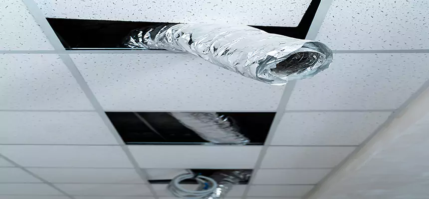 Affordable HVAC Sanitizing After Pest Removal in Abilene