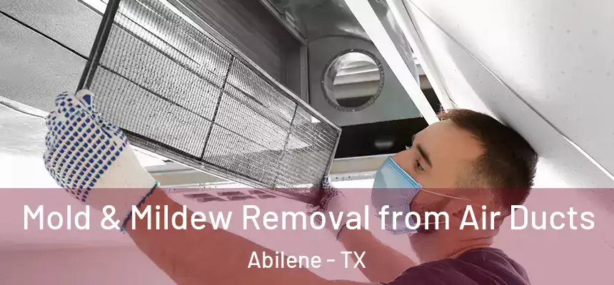 Mold & Mildew Removal from Air Ducts Abilene - TX