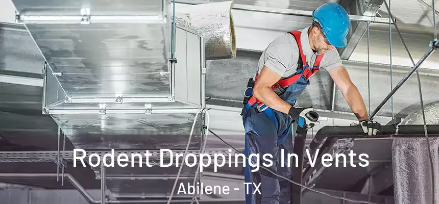 Rodent Droppings In Vents Abilene - TX