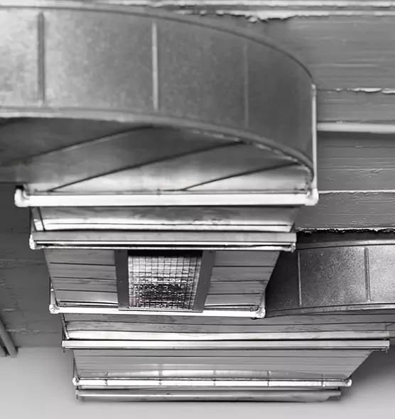 Professional Air Duct Pet Hair Removal in Abilene, TX