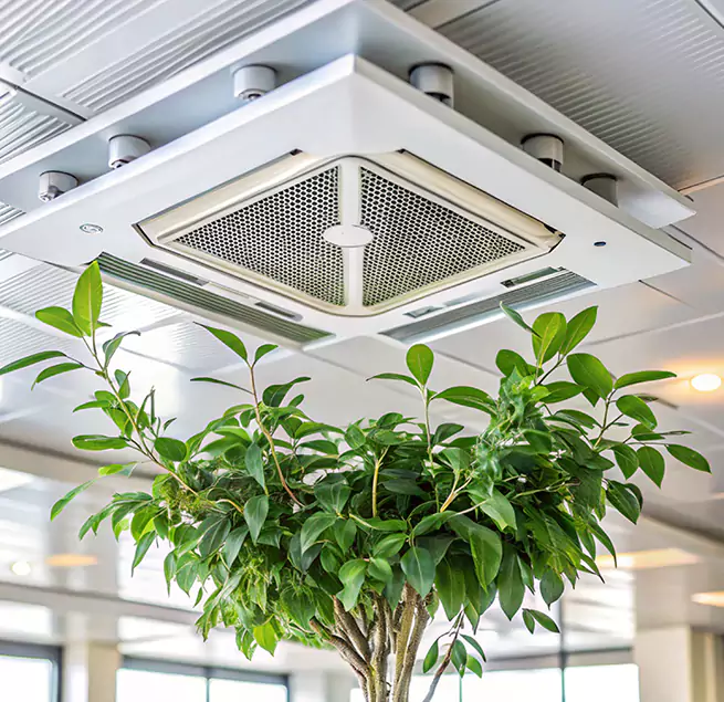 Why Homeowners & Businesses Trust Us in Abilene, TX